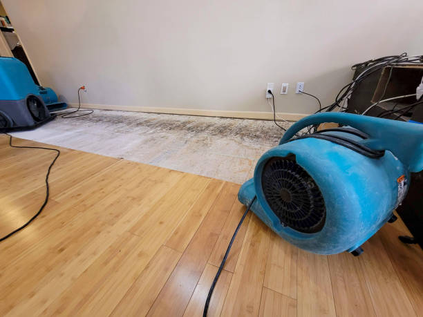 Professional Flood Damage Cleanup technician working in Rhododendron, OR